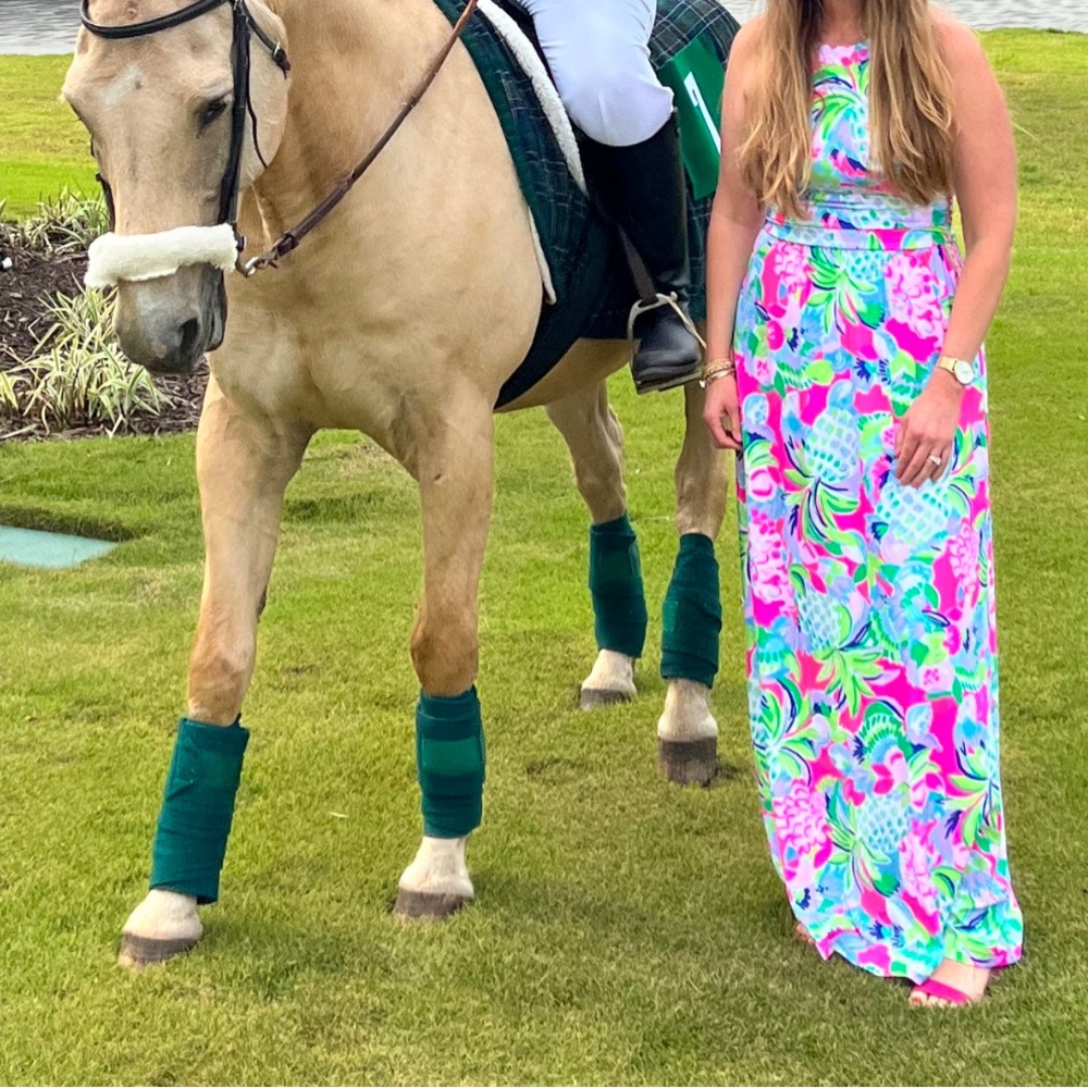 Lilly Pulitzer Tallula Maxi Dress, Size Medium worn once